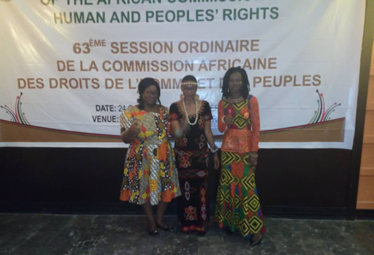 63eme session de la commission africaine des droits de l’homme et des peuples (CADHP)