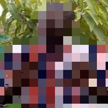 Redhac – subenvtion (23)